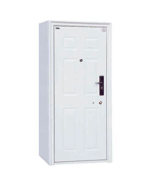 HY-E001喷塑防尾随门